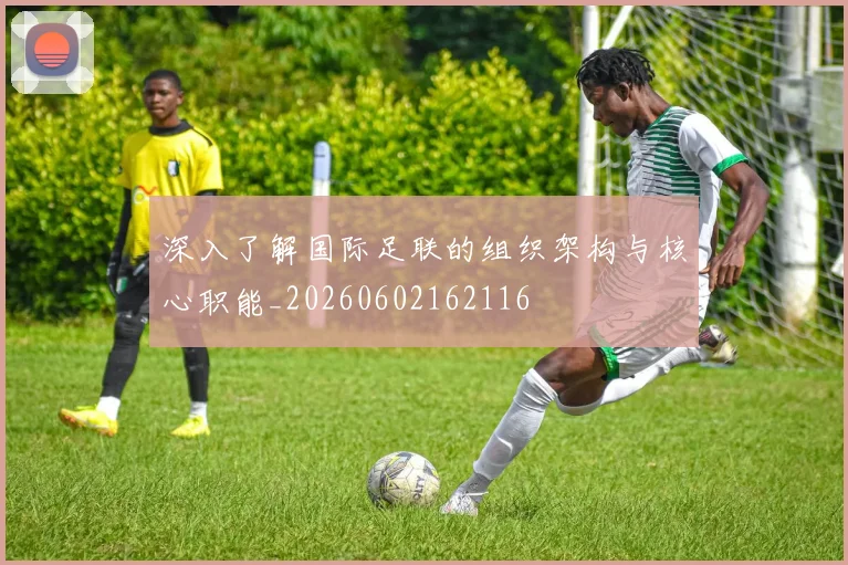 深入了解国际足联的组织架构与核心职能_20260602162116