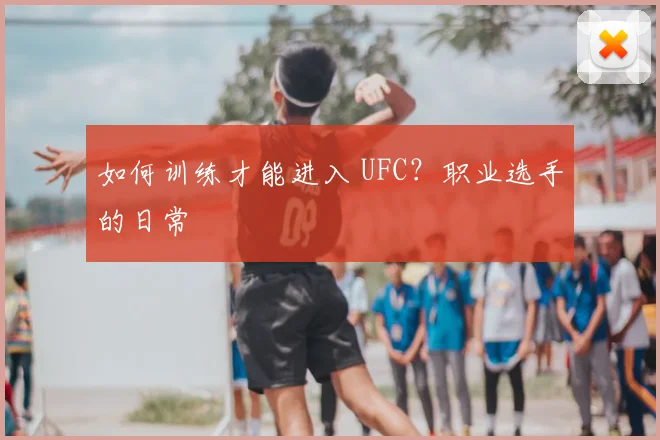 如何训练才能进入 UFC？职业选手的日常